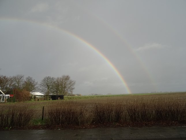 Goud