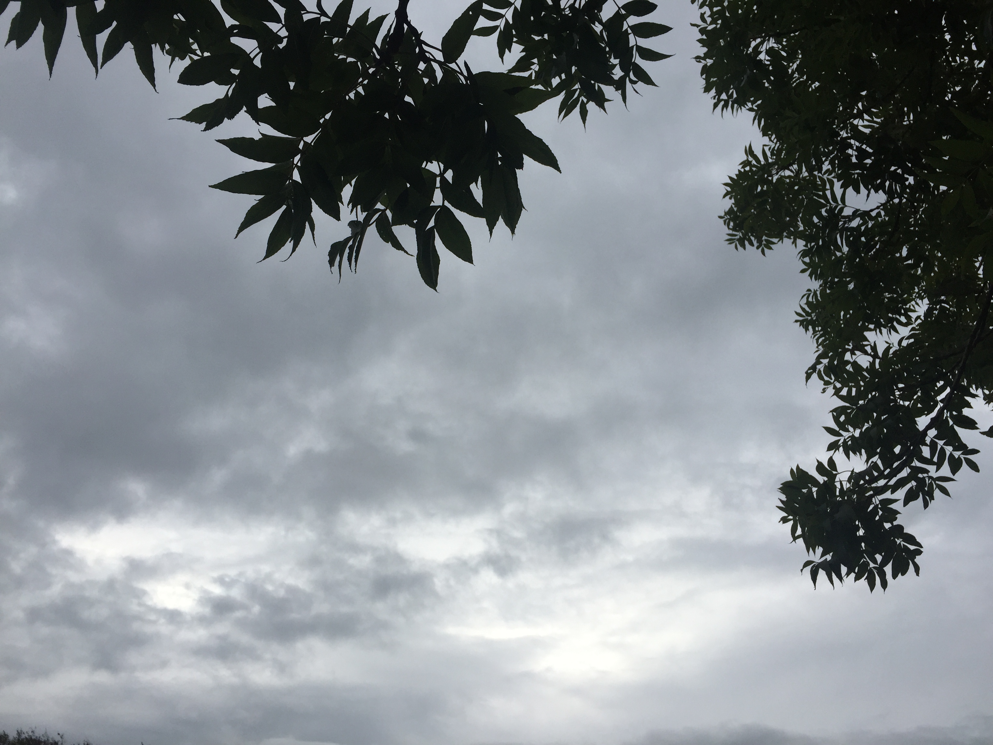 Kofferbakmarkt 9 september afgeblazen