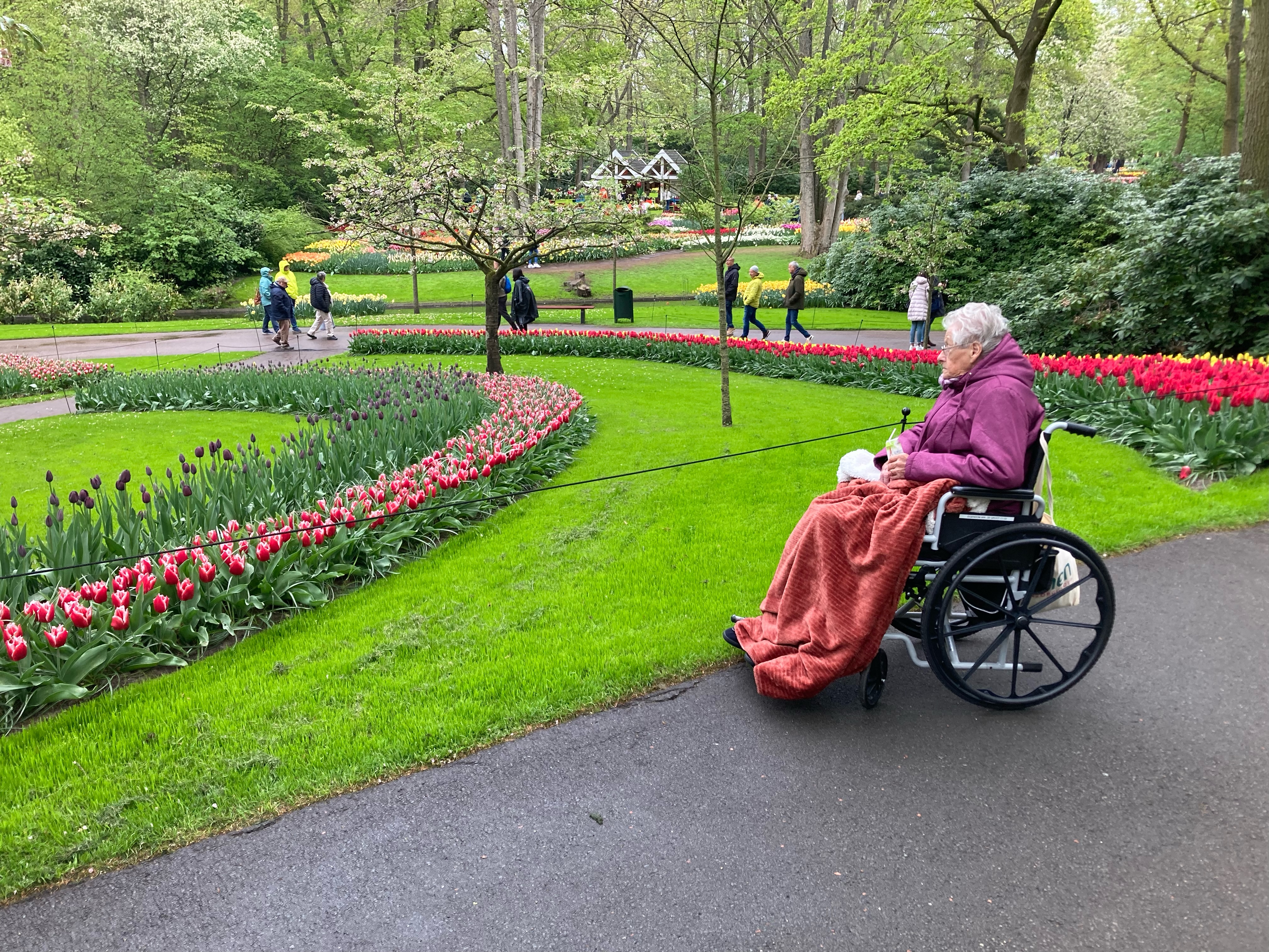 Op 25 april met de rolstoelbussen op pad naar de Keukenhof