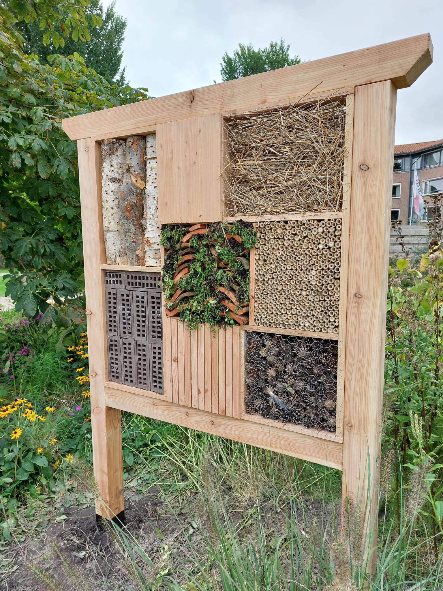 Opening insectenhotel in de tuin van De Bron op 28 september