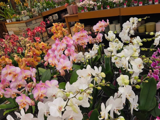 616036053_1281196467152107_3501130387040979834_n