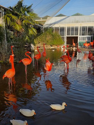 616024466_1281196693818751_3058494246182578078_n