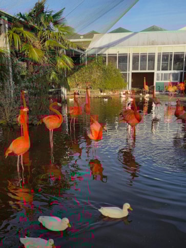 616024466_1281196693818751_3058494246182578078_n