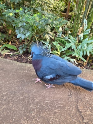 616017984_1281196617152092_7587028955106222503_n